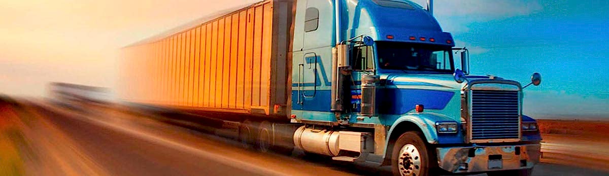 TRANSPORTE TERRESTRE
